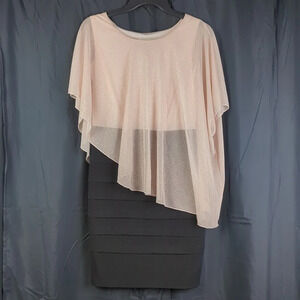 Enfocus Petite Dress